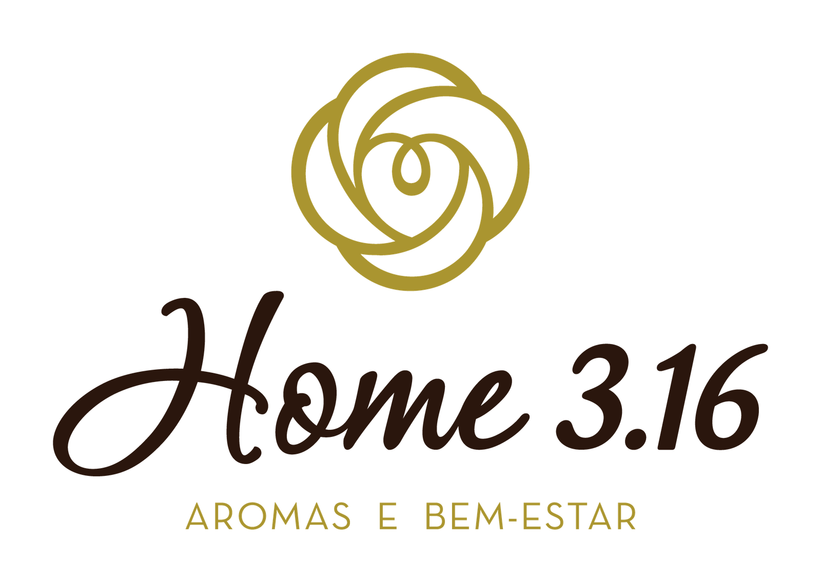 Home 3.16 logo